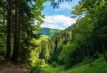 آشنایی با کشور رومانی