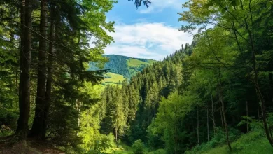 آشنایی با کشور رومانی